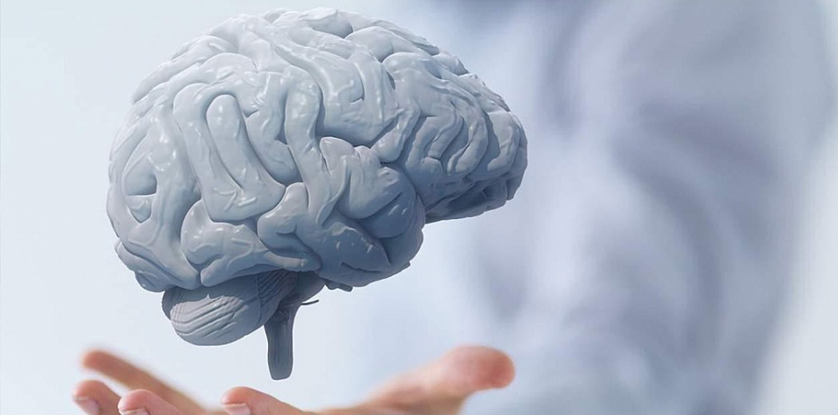 Причины быстрого старения мозга назвали ученые
